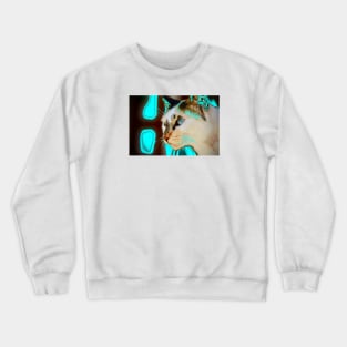 Radioactive Cat / Swiss Artwork Photography Crewneck Sweatshirt